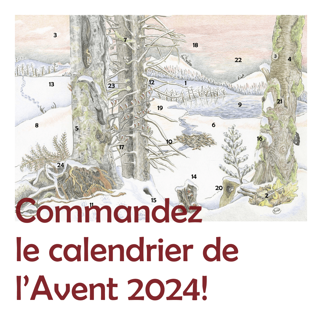 Calendrier de l'Avent 2024